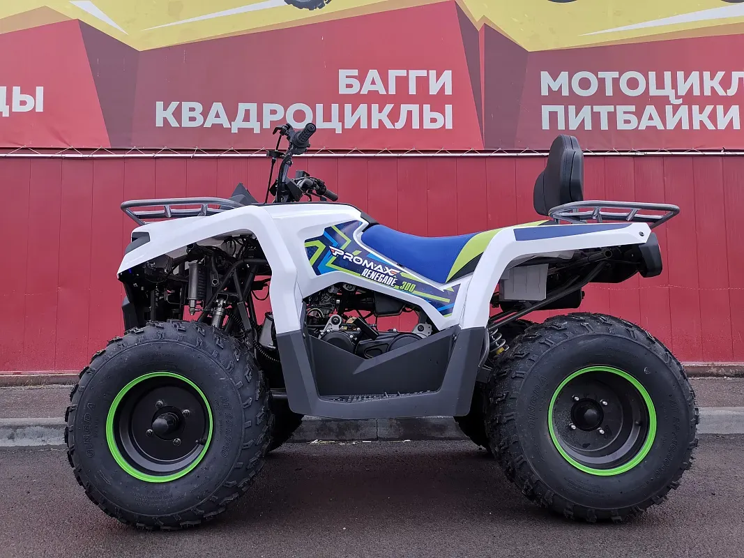 Квадроцикл PROMAX RENEGADE 280