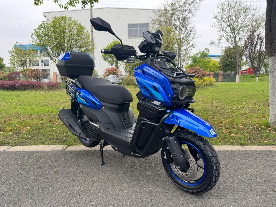 Скутер EX-MOTO ZUMA 200 (49)