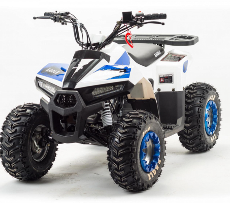 Квадроцикл MOTOLAND (МОТОЛЕНД) 110 EAGLE