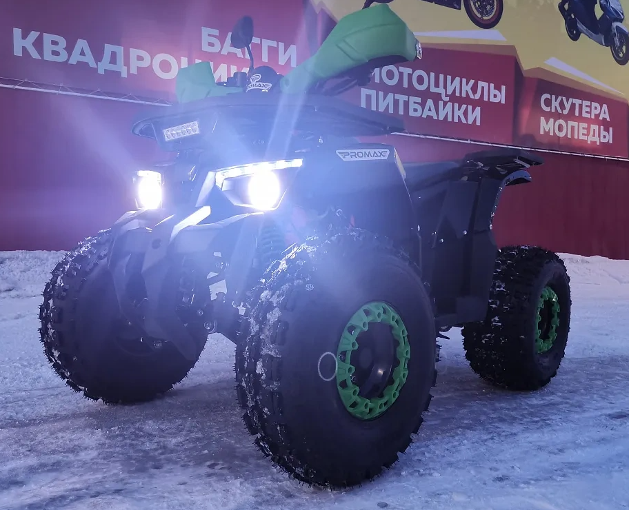 Квадроцикл PROMAX WILD 175 LUX